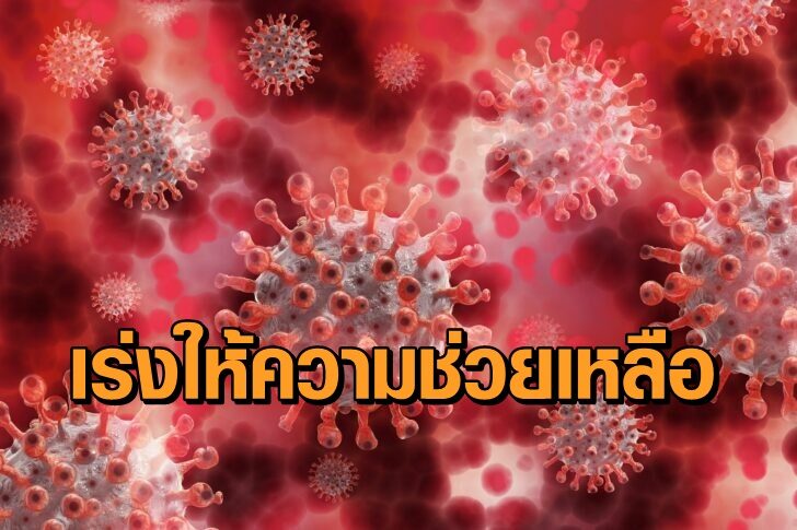 โควิดแดง