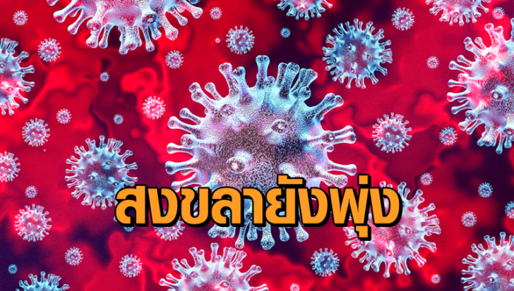 โควิดแดงขาวสงขลา