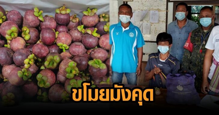 โจรมังคุด