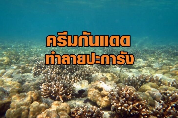 201703211200493-20151120115129