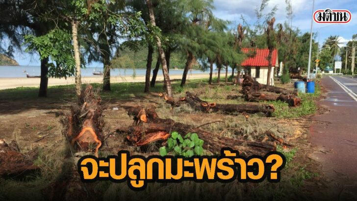 89กดืดำ
