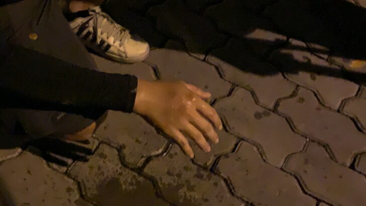 S__29663799
