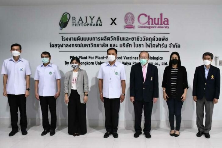 รู้รอบเรื่องโควิด 19 ‘วัคซีนใบยา’ รับมือเชื้อโควิด 19 กลายพันธุ์ ความหวังของคนไทย
