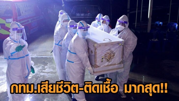 Thai volunteers join the country's fight against COVID-19