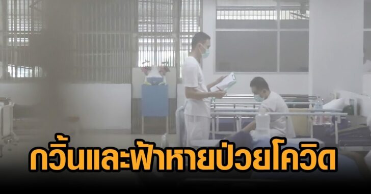 กวิ้นฟ้าหายแล้ว