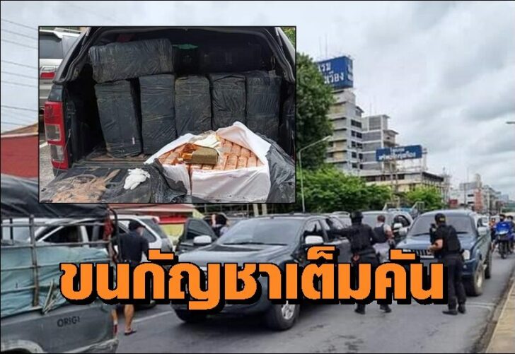 กัญชา0