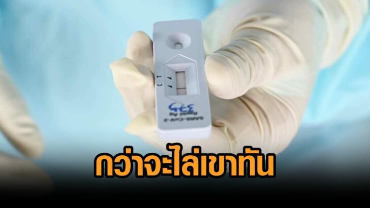 ชุดตรวจ