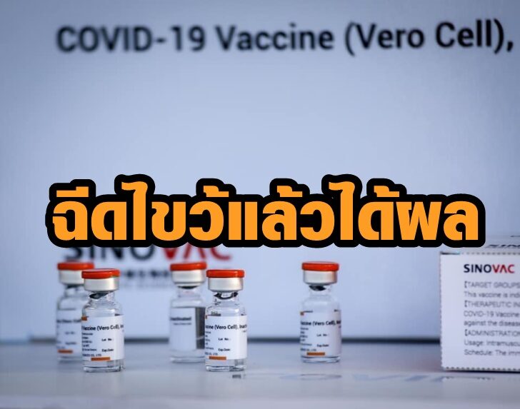 ซิโนแวควัคซีน