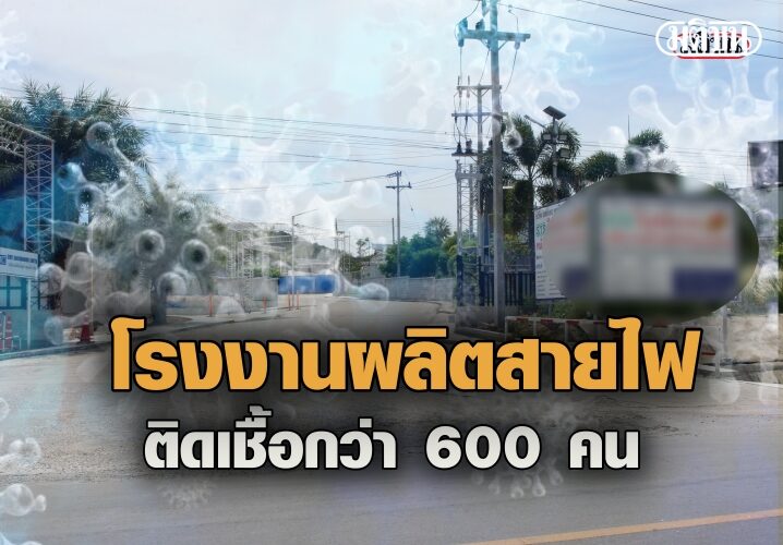 ดหหดห