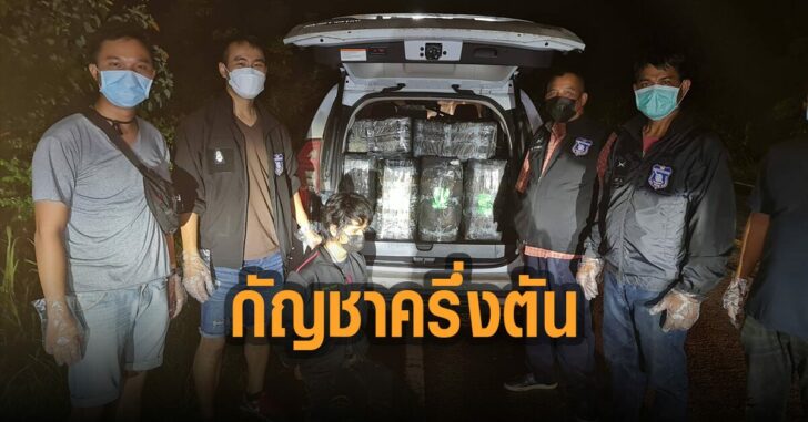 ตร.จับกัญชา-ครึ่งตัน