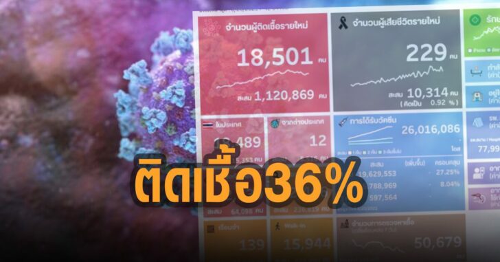 ติดเชื้อ-36-เปอร์เซ็นต์-เทียบกับยอดตรวจ