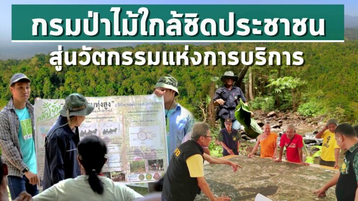 ปกกรมป่าไม้ ตอนที่ 1 002
