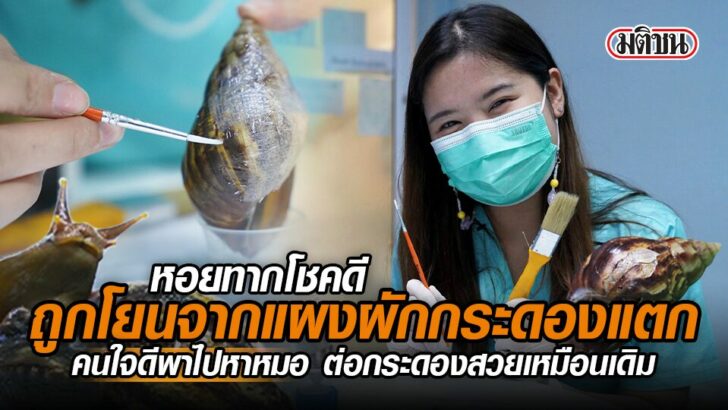 ปกข่าว-หอยทากโชคดี