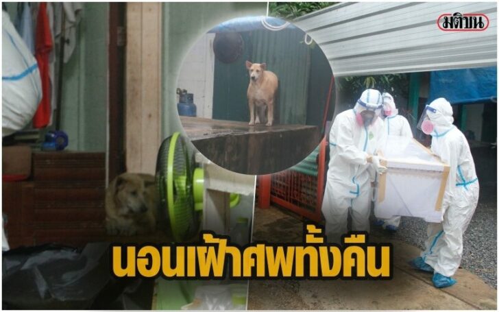 ฟหด