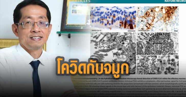 หมอนิธิพัฒน์-โควิด-กับจมูก