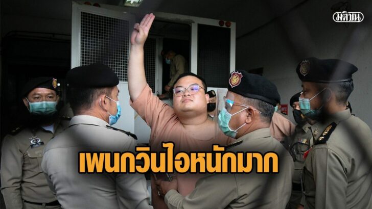 เพนกวิน-3ดด