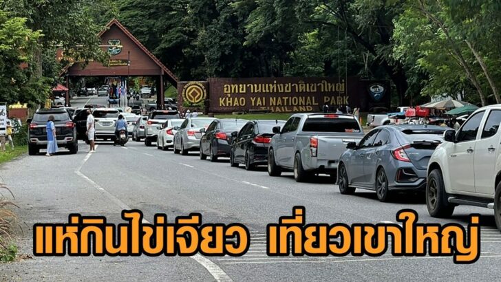 แห่กินไข่เจียว เที่ยวเขาใหญ่