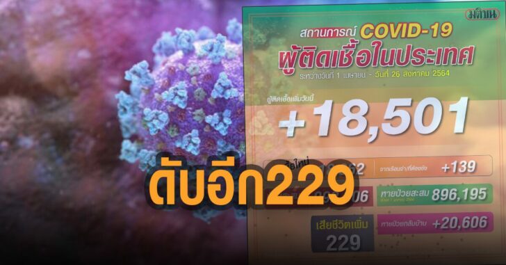 โควิด-26ส.ค.ดับอีก-229