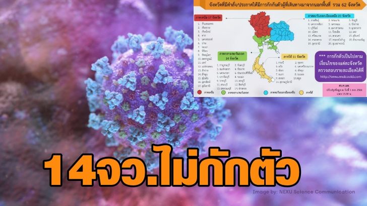โควิด-728x410-1