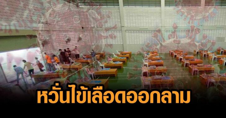 โควิดปก