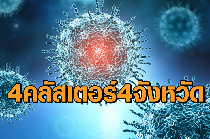 โควิดฟ้า4คลัสเตอร์