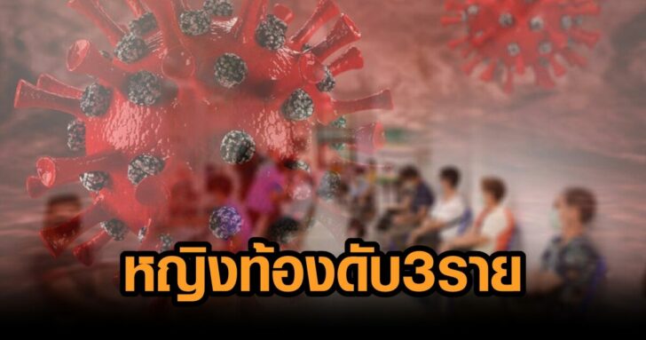 โควิดวันนี้