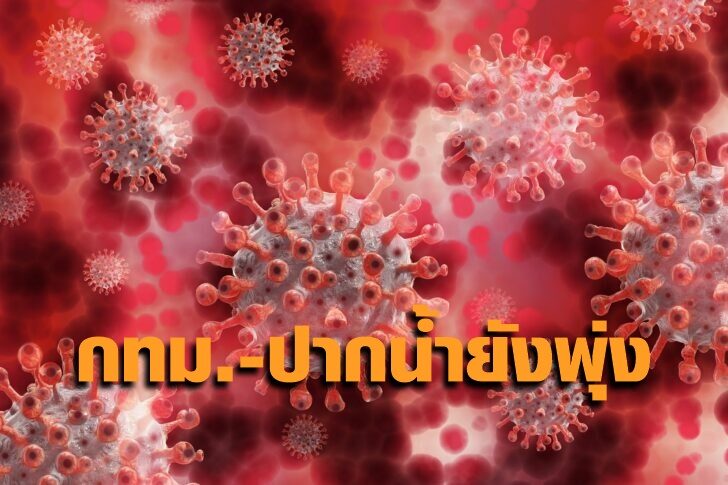 โควิดแดง