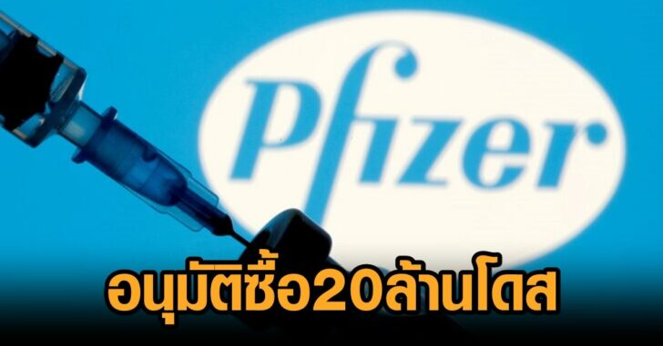 FILE PHOTO: Vial and syringe are seen in front of displayed Pfizer logo