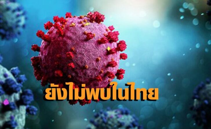 ไวรัส3-