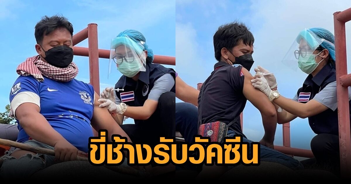 ชาวสุรินทร์ขี่ช้างรับวัคซีนโควิด จนท.ประจำเรือนขึ้นช้างรอปักแขน