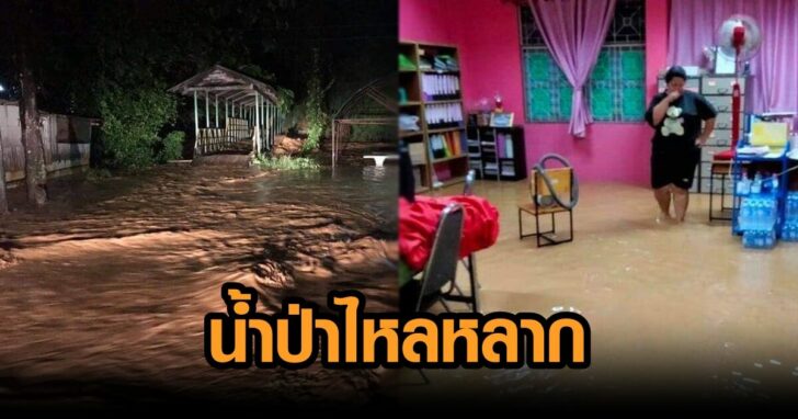 น้ำป่าไหลหลาก