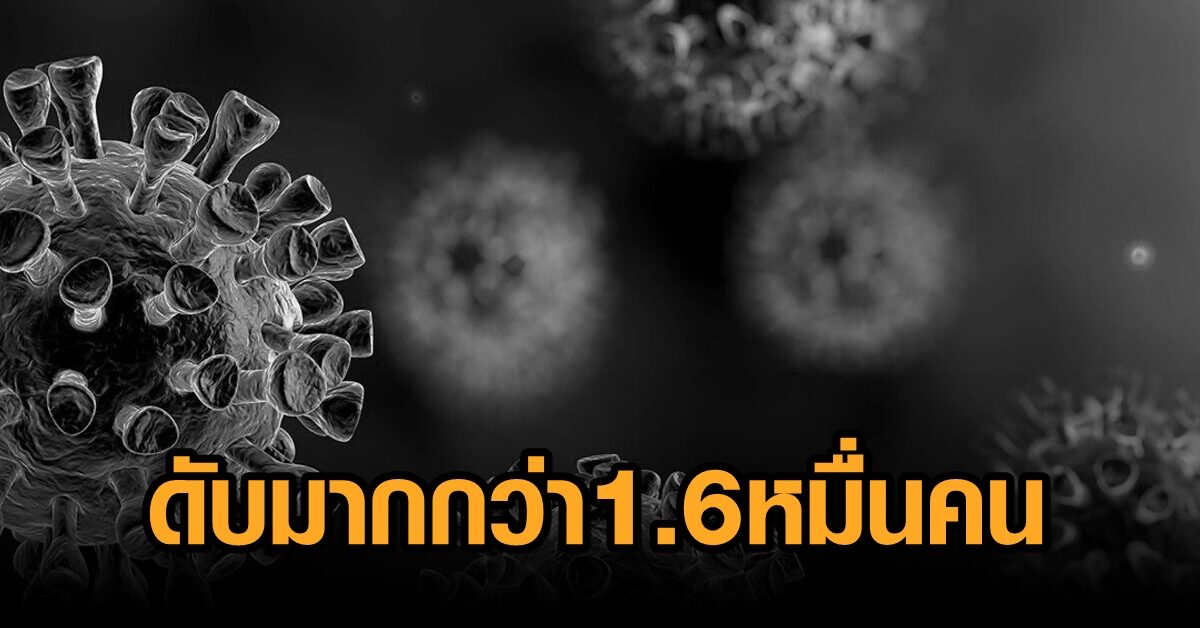โควิดคร่าชีวิตคนไทยสะสมกว่า 1.6 หมื่นคน ปลัด สธ.เผยสถานการณ์ชายแดนใต้น่ากังวล