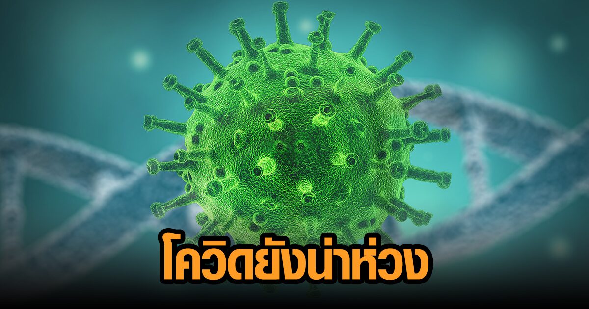 โควิด 67 จังหวัดป่วยพุ่ง 5 พันราย ‘กทม.’ เริ่มแผ่ว ชายแดนใต้อ่วม ติดกว่าพันราย