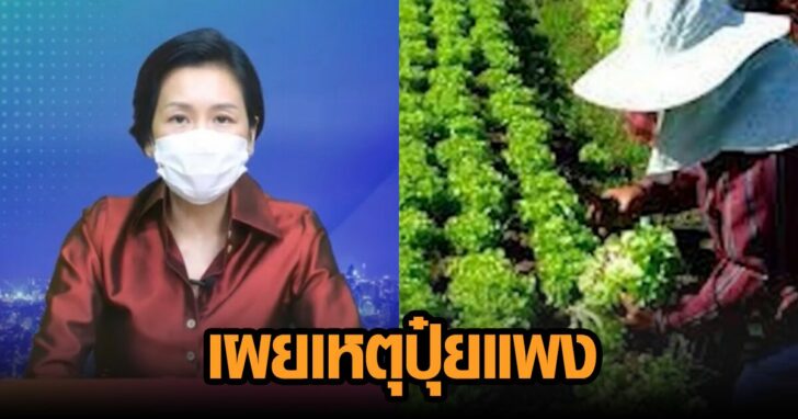 008230948092388402