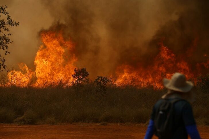 Fire at Juquery State Park in Sao Paulo