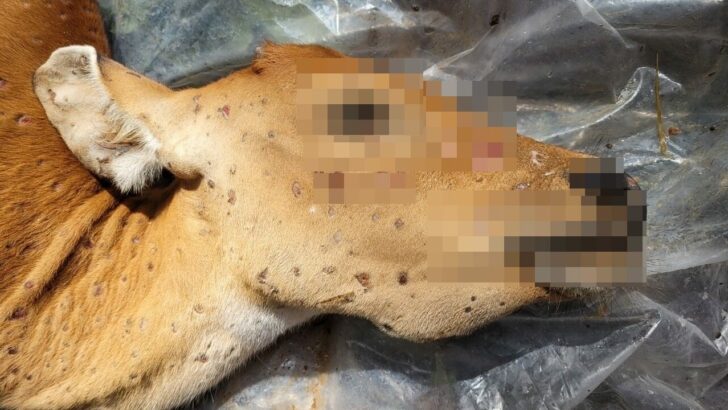 242698359_2937594903222065_3684360983854694402_n