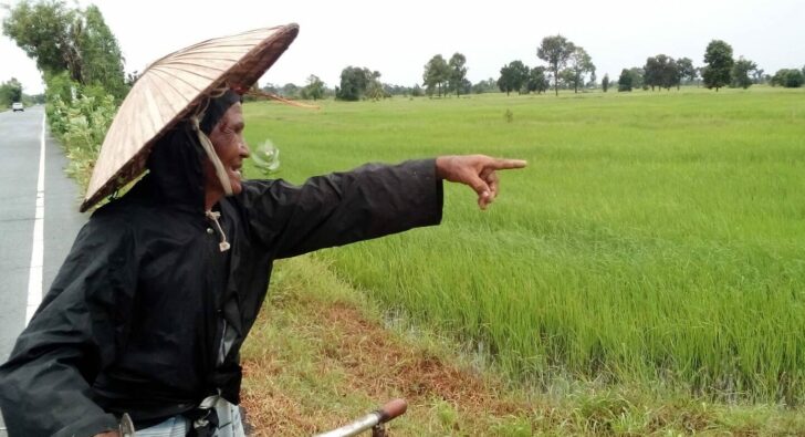 25ดเมั