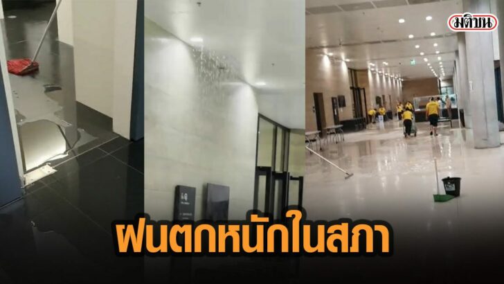 26เมั้