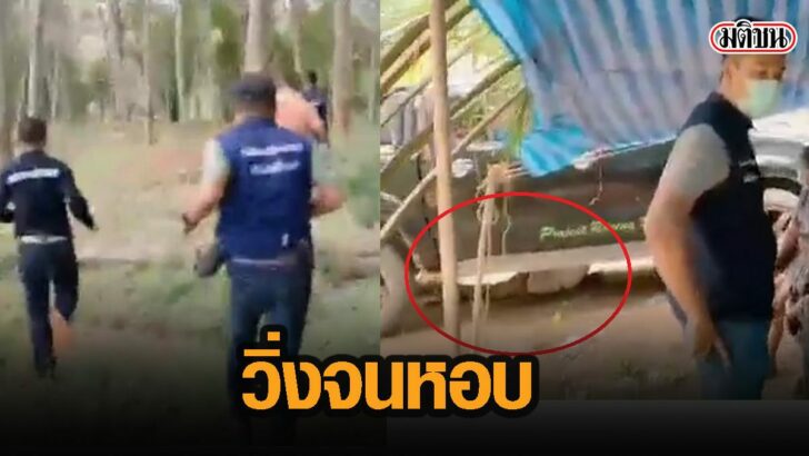 28ดะทพ