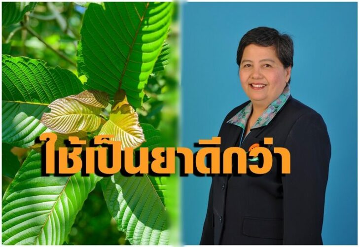 กระท่อม