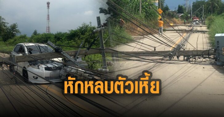 กระบะหักหลบตัวเหี้ย-ชนเสาไฟล้ม