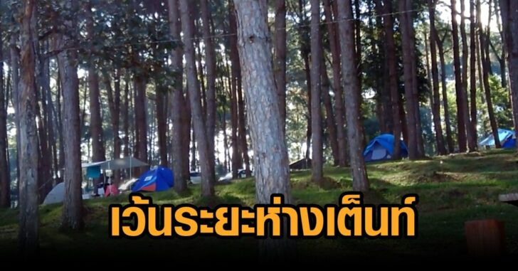กางเต็นท์-ภูหินร่องกล้า