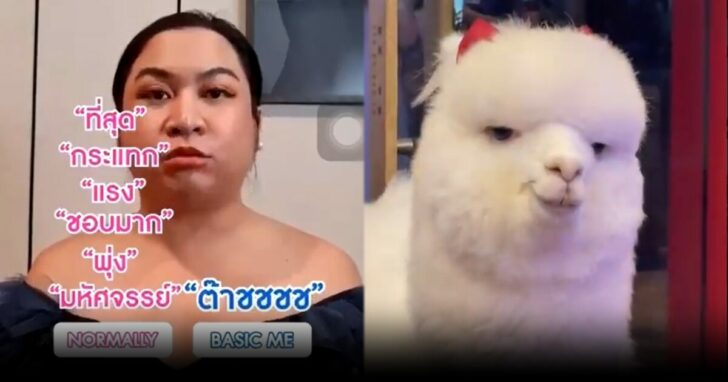 คำฮิต