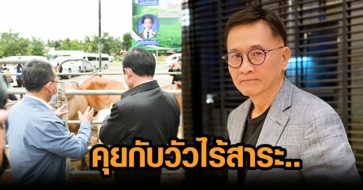 คุยกับวัวไร้สาระ