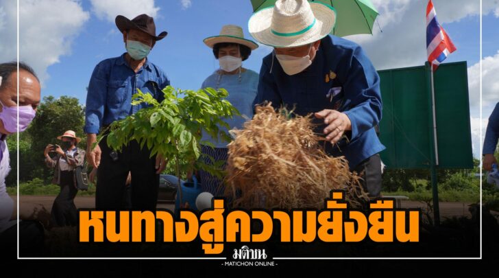 จจ000024