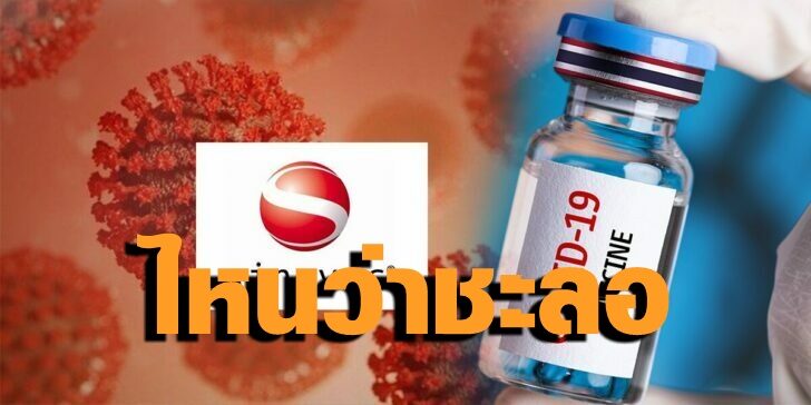 ซิโนแวต วัคซีน