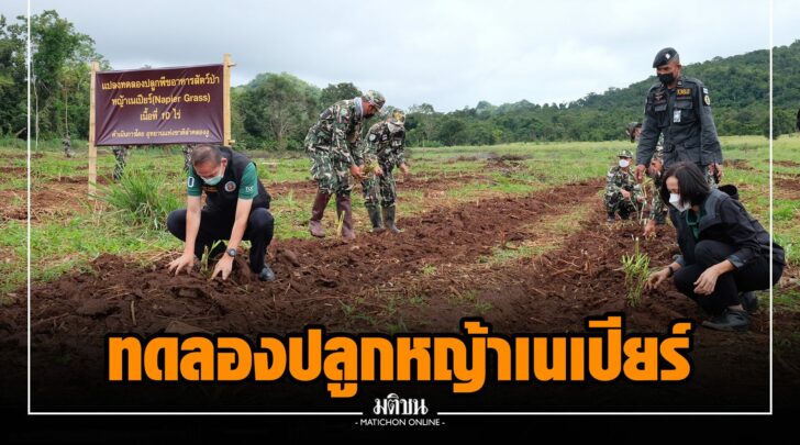 ฒฒ000013