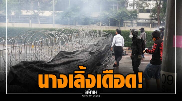 ดด000006