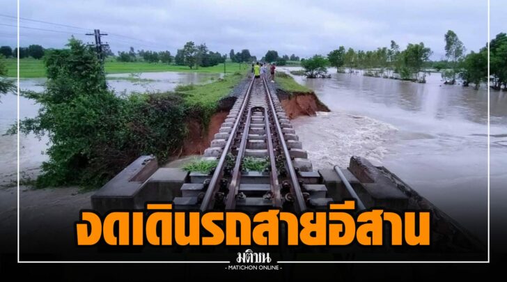 ถถ000019