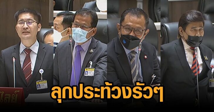 ประท้วงเต้